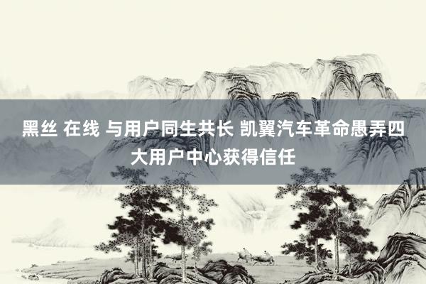 黑丝 在线 与用户同生共长 凯翼汽车革命愚弄四大用户中心获得信任