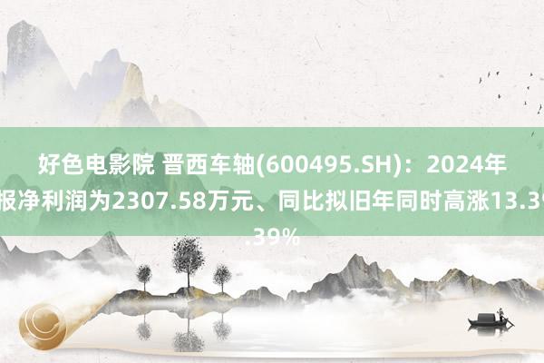 好色电影院 晋西车轴(600495.SH)：2024年年报净利润为2307.58万元、同比拟旧年同时高涨13.39%
