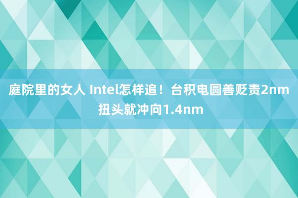 庭院里的女人 Intel怎样追！台积电圆善贬责2nm 扭头就冲向1.4nm