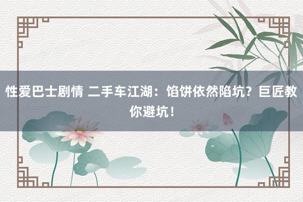 性爱巴士剧情 二手车江湖：馅饼依然陷坑？巨匠教你避坑！
