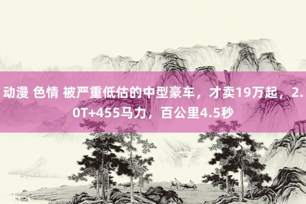 动漫 色情 被严重低估的中型豪车，才卖19万起，2.0T+455马力，百公里4.5秒