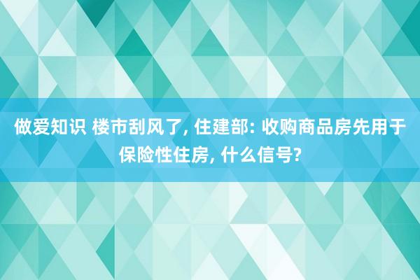 做爱知识 楼市刮风了, 住建部: 收购商品房先用于保险性住房, 什么信号?