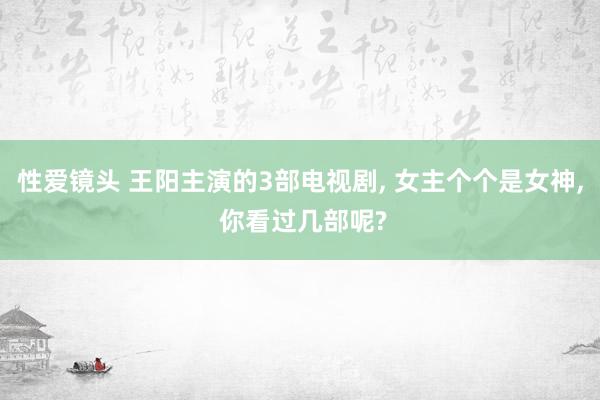 性爱镜头 王阳主演的3部电视剧， 女主个个是女神， 你看过几部呢?