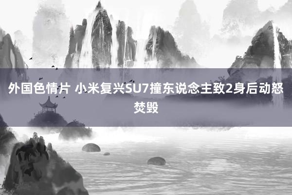 外国色情片 小米复兴SU7撞东说念主致2身后动怒焚毁