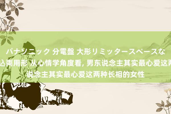 パナソニック 分電盤 大形リミッタースペースなし 露出・半埋込両用形 从心情学角