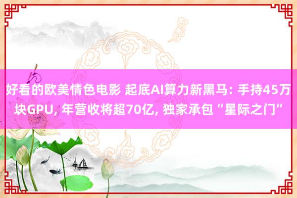 好看的欧美情色电影 起底AI算力新黑马: 手持45万块GPU, 年营收将超70亿