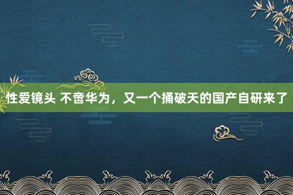 性爱镜头 不啻华为，又一个捅破天的国产自研来了